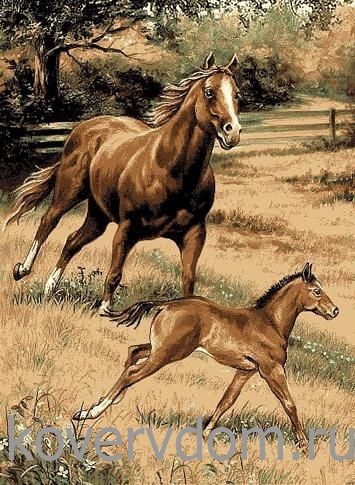 Ковер Фауна 50892 Лошади