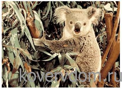 Ковер Фауна 50547 Коала